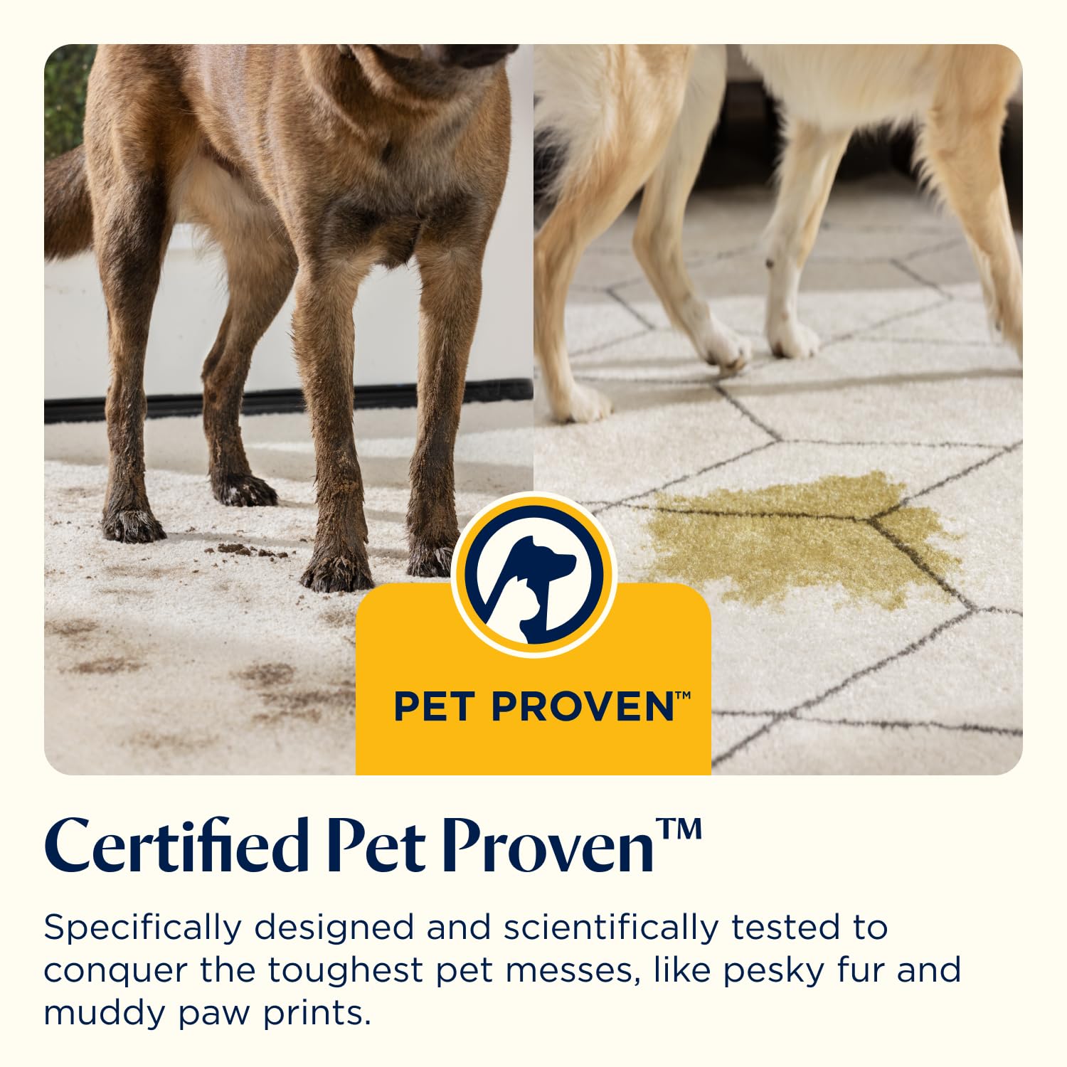 BISSELL SpotClean Pet, Carpet Cleaner, Portable Spot Cleaner, Spills & Carpet Stain Remover with HeatWave Technology, Upholstery Cleaner